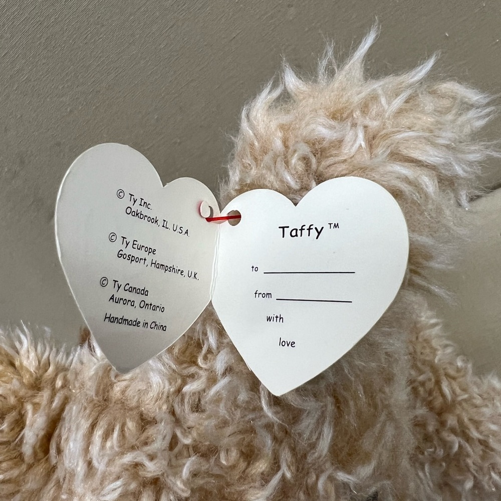 TAFFY The Terrier  - Ty Beanie Baby - Picture 5 of 7